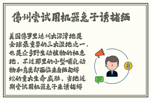 超碰97总站中文字幕伊人